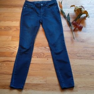 Articles of Society Sarah Skinny Jean